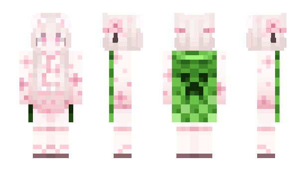 Minecraft skin Sapnl