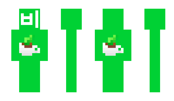 Minecraft skin btic