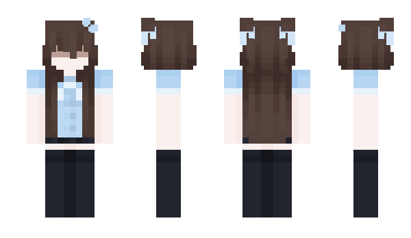 Minecraft skin dfmu