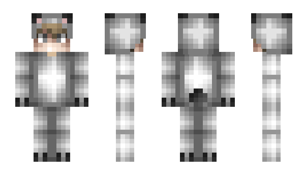 Minecraft skin PolarExpression