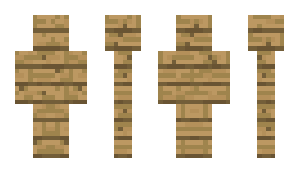 Minecraft skin 11pp