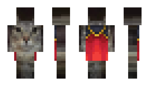 Minecraft скін по ніку kasf