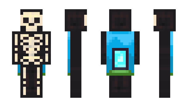 Minecraft skin liaisons