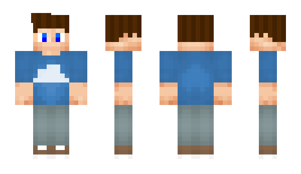 Minecraft skin _Seltix