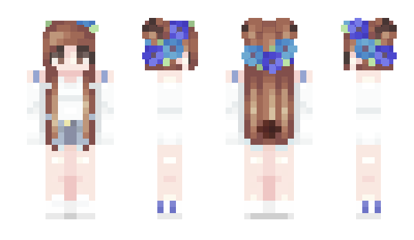 Minecraft skin DINA_S