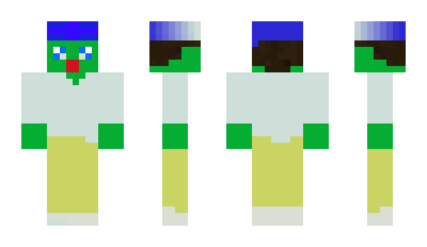 Minecraft скин по нику zin69