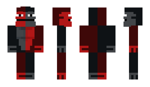 Minecraft skin 2629