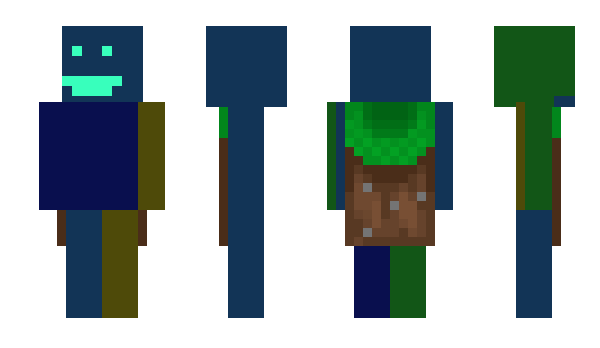 Minecraft скин по нику DWE24