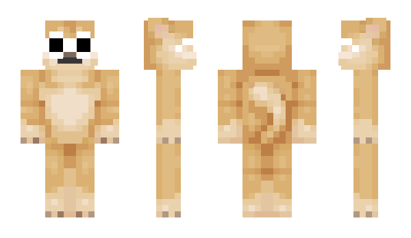 Minecraft skin HouseCrusher