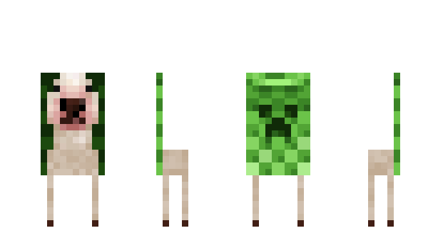 Minecraft skin Florks