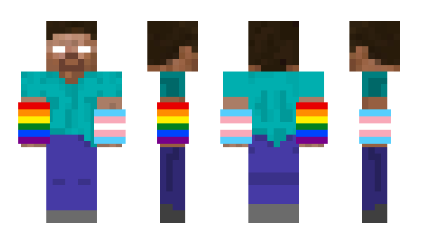 Minecraft skin Timbaster