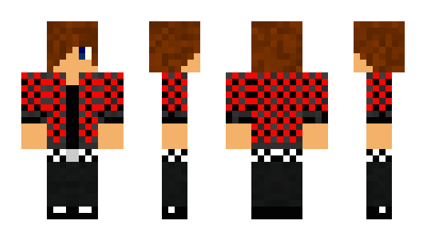 Minecraft skin polyto