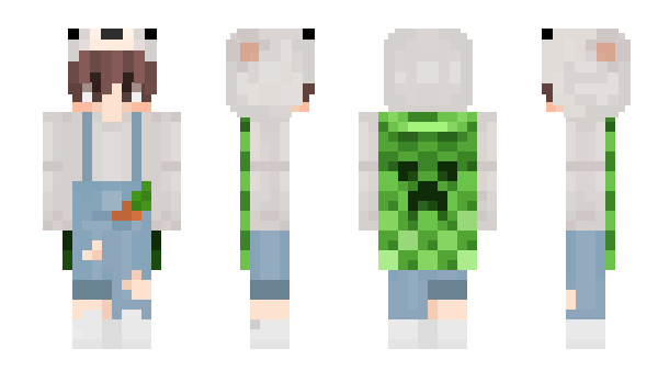 Minecraft skin inerdd