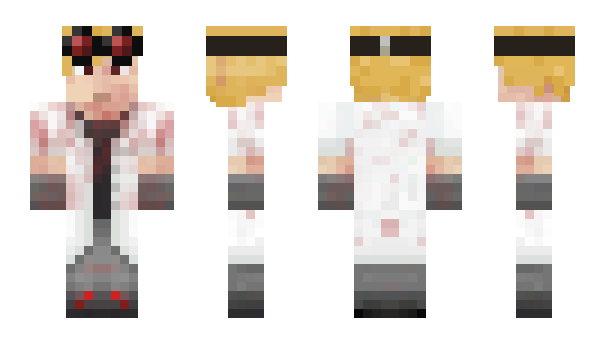 Minecraft skin pegion