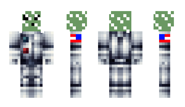Minecraft skin Norbitsswag