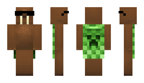 Minecraft skin Lavay