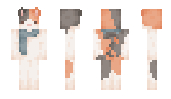 Minecraft skin evenek_
