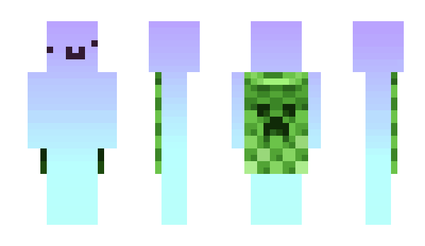 Minecraft skin polaner