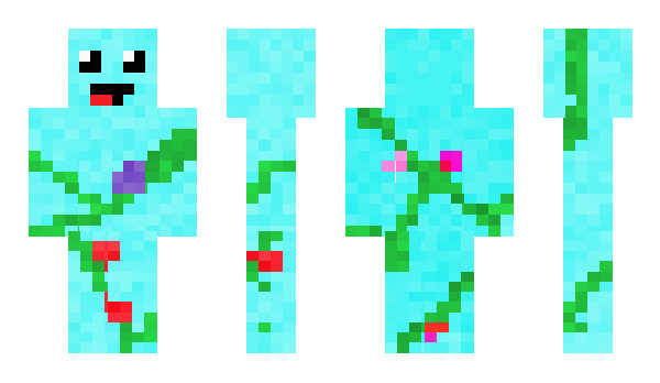 Minecraft skin Nijjer