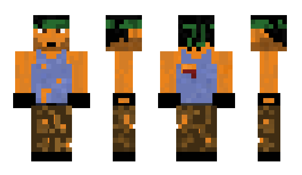 Minecraft skin Warkorentin
