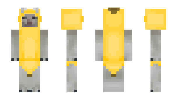 Minecraft skin Linsed