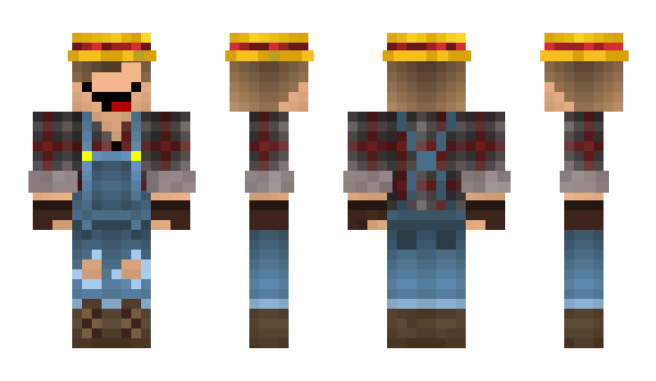 Minecraft skin BlazeMirEin