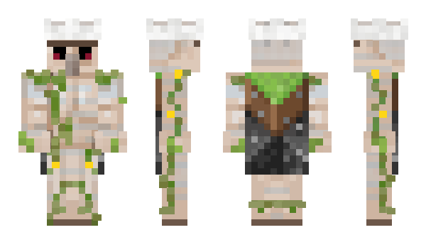 Minecraft скин по нику Birkse