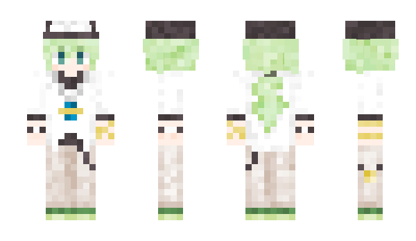 Minecraft skin NPokemon