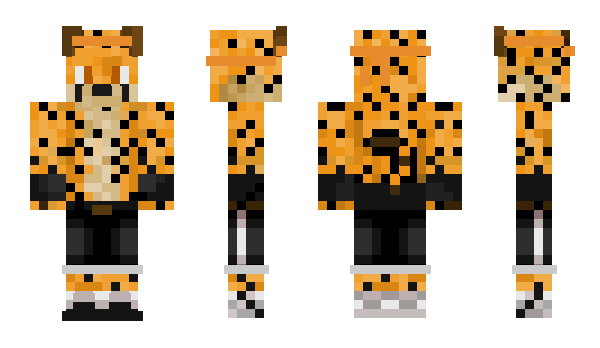 Minecraft skin Barrabra