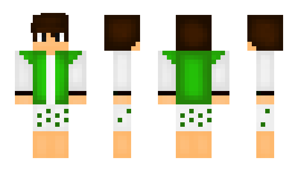 Minecraft skin ElNickray911