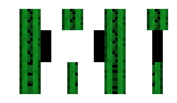 Minecraft skin MHF_Cactus