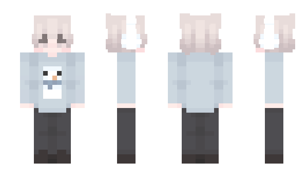 Minecraft skin Koylester