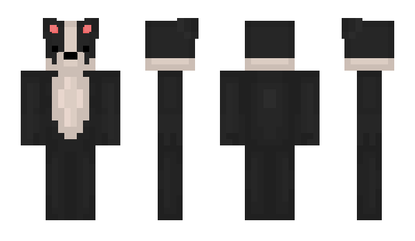 Minecraft skin Elution