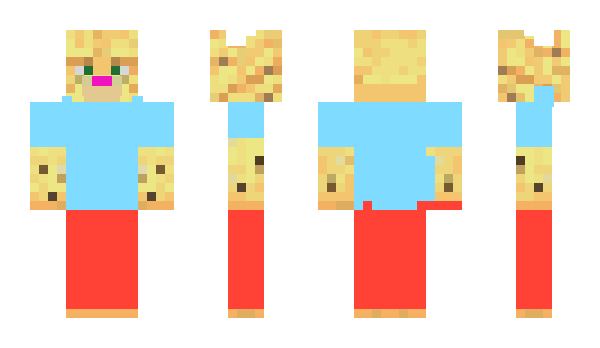 Minecraft skin r005