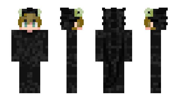 Minecraft скін по ніку Trinterstellar