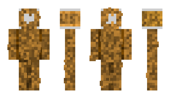 Minecraft skin cmari