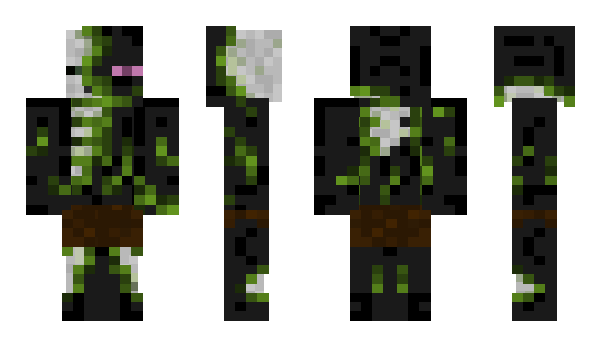 Minecraft skin King_MC