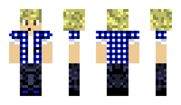 Minecraft skin Perrox