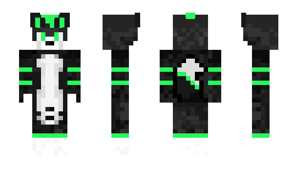 Minecraft skin HarcyRaszkowski