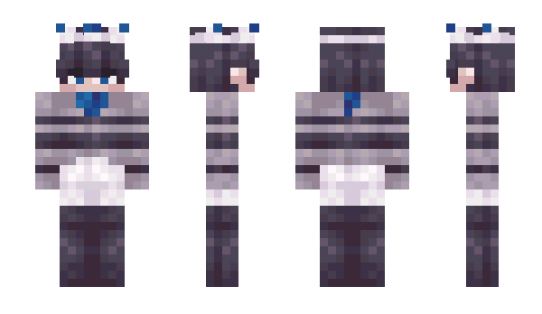 Minecraft skin Andysol