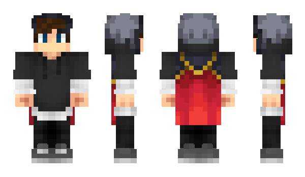 Minecraft skin Cadru
