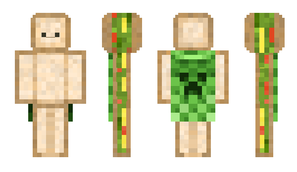 Minecraft skin Bagetak