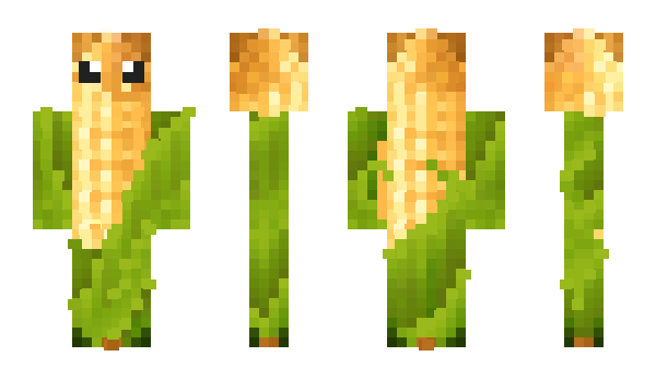 Minecraft скин по нику MilhoCarpete
