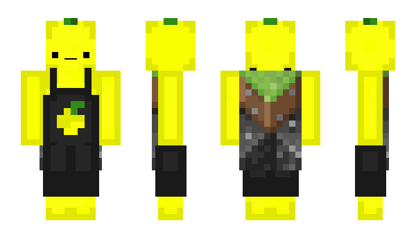 Minecraft skin CytrynkaWasTaken