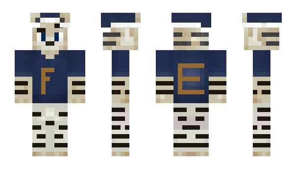 Minecraft skin flyemeric