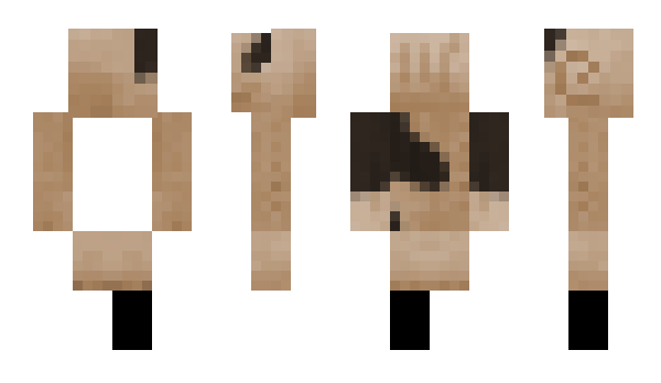 Minecraft skin renbow