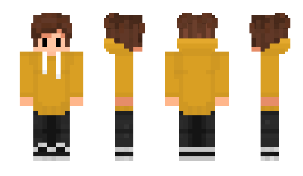 Minecraft skin LADLAFPS