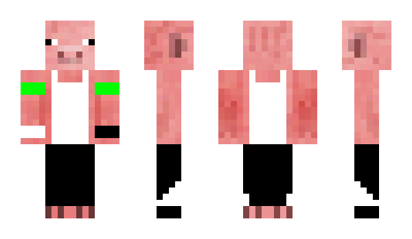 Minecraft skin ohio5