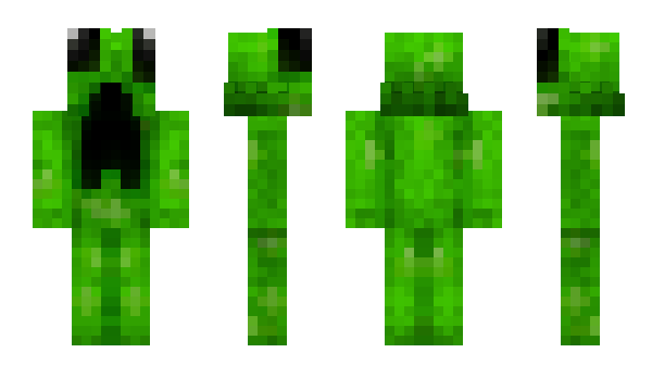 Minecraft skin Swiftninja0