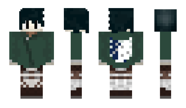 Minecraft skin Coincidence